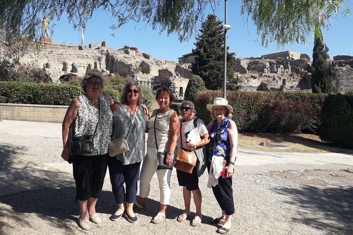 Pompeii and Herculaneum SkipTheLine with Lunch&WineTasting from Rome