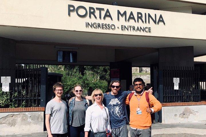 Pompeii and Herculaneum SkipTheLine with Lunch&WineTasting from Rome