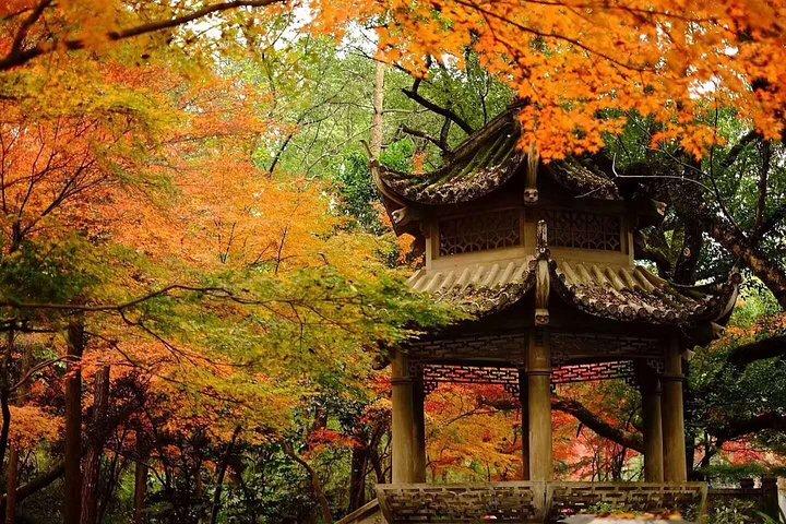 Hangzhou Private Day Tour with West Lake, Tea Village, Lingyin Temple and More