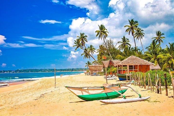 Private Transfer from Biyagama to Sri Lanka Colombo (CMB) Airport