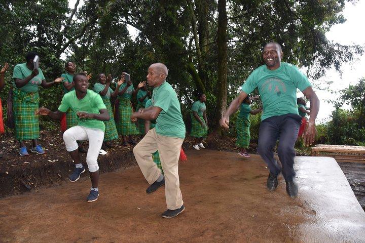 3-Day Gorilla Trekking safari in Bwindi Impenetrable Forest