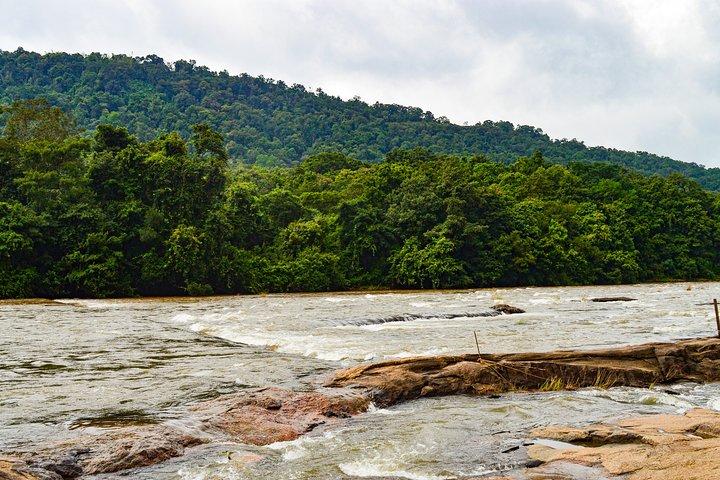 Athirappilly Water Falls : A Nature Day Trip from Kochi