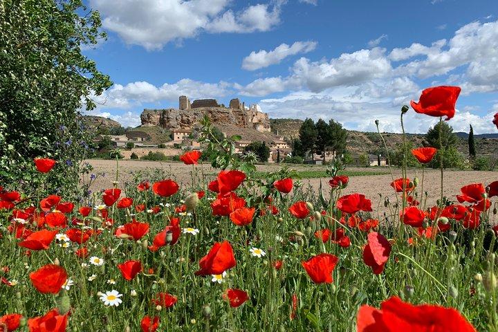 Day Trip from Madrid: Unspoiled Spain for Foodies & Nature Lovers