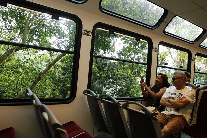 Half Day in Rio: Christ by Train, Maracanã, Cathedral & Selarón