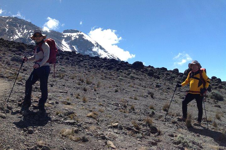 7 days_Mount kilimanjaro Hiking Lemosho Route