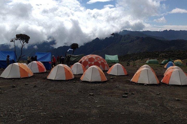 7 days_Mount kilimanjaro Hiking Lemosho Route