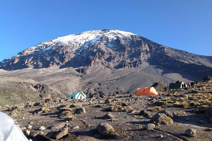 The best 6-Days Kilimanjaro hiking (Machame route)whiskey route