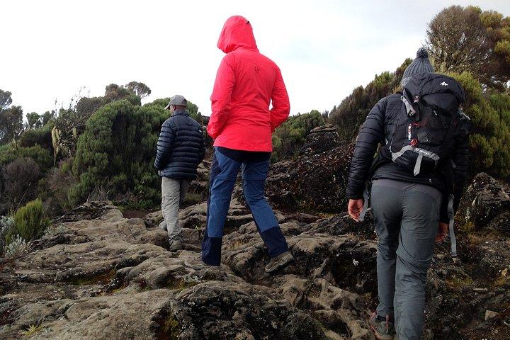 The best 6-Days Kilimanjaro hiking (Machame route)whiskey route
