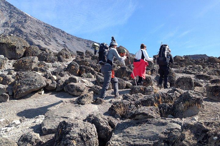 The best 6-Days Kilimanjaro hiking (Machame route)whiskey route