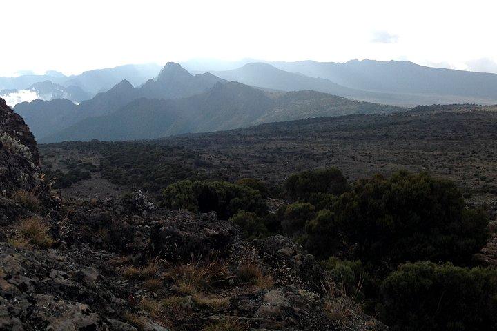 The best 6-Days Kilimanjaro hiking (Machame route)whiskey route