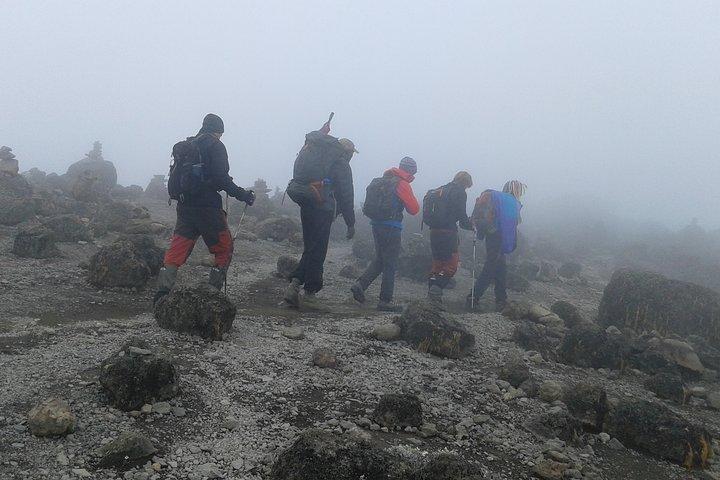 Kilimanjaro 2 days Hike