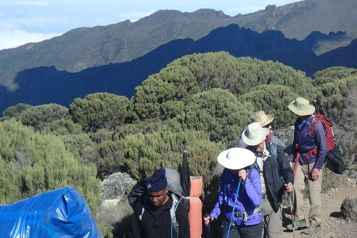Kilimanjaro 2 days Hike