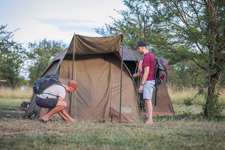 4 Days safari Tour Tanzania