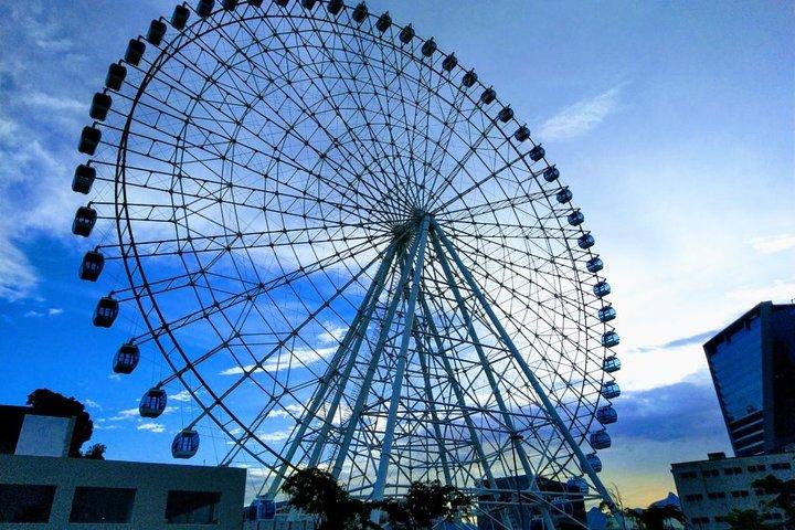 Ferris Wheel Panoramic View & Olympic Boulevard with Transfer