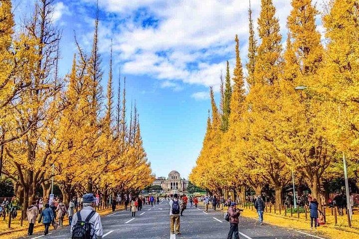 Japanese Garden & Western Architecture: Akasaka exploration tour