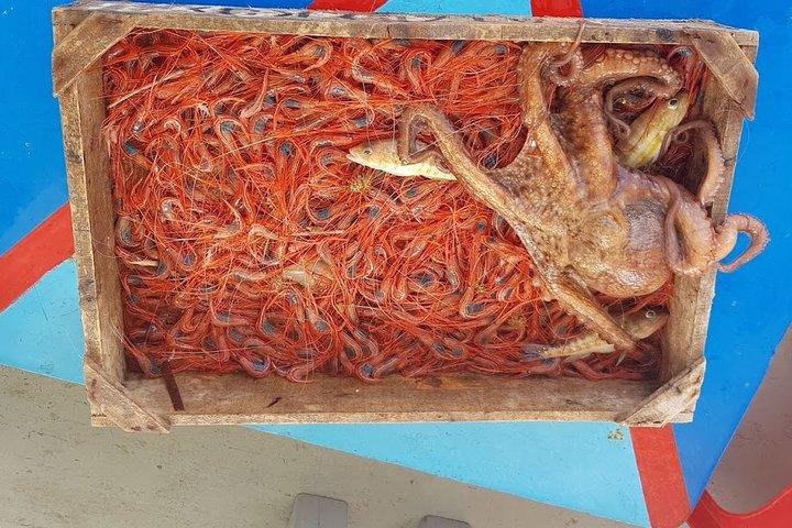 Private Fishing Tour - Sunset (transportation included)