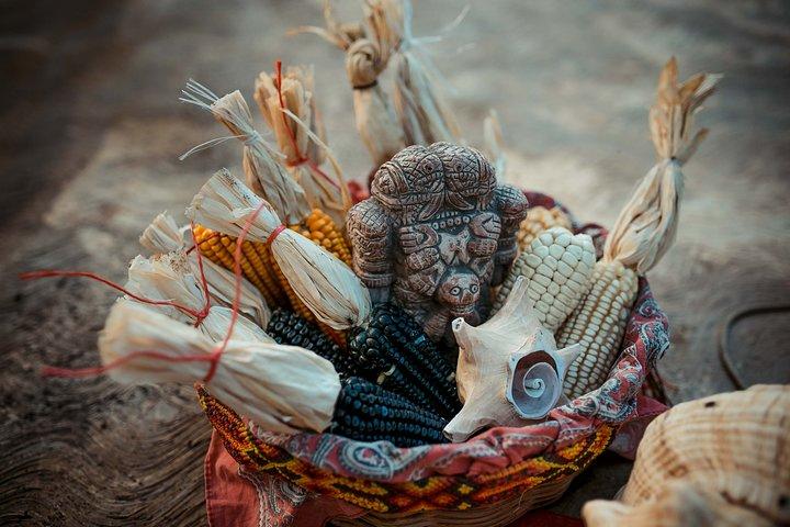 Quintana Roo 5 hours Chocolate Maya Ceremony and Temazcal Maya Ritual Tour