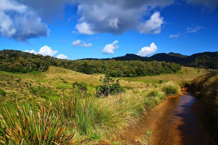 Horton Plains National Park Trekking