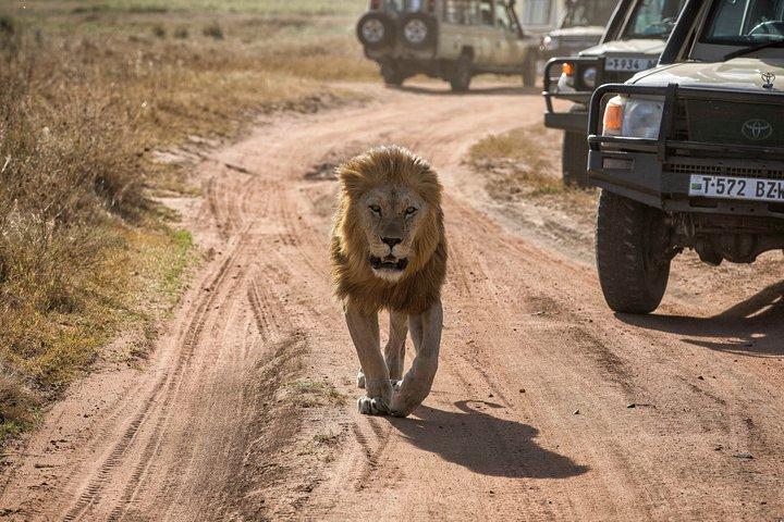 6 Days Private Budget Safari