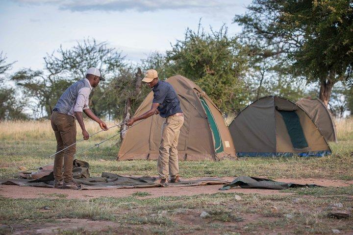 6 Days Private Budget Safari