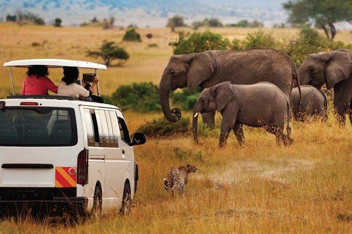 3-Days Masai Mara Safari Combined with Hot Air Balloon Ride Experience