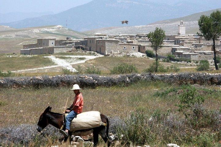 Berber villages trek Day trip