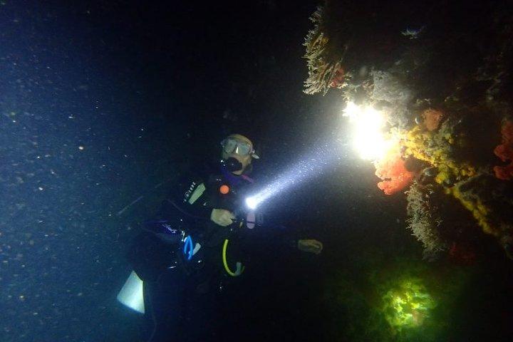Scuba Diving at Dusk in Unawatuna