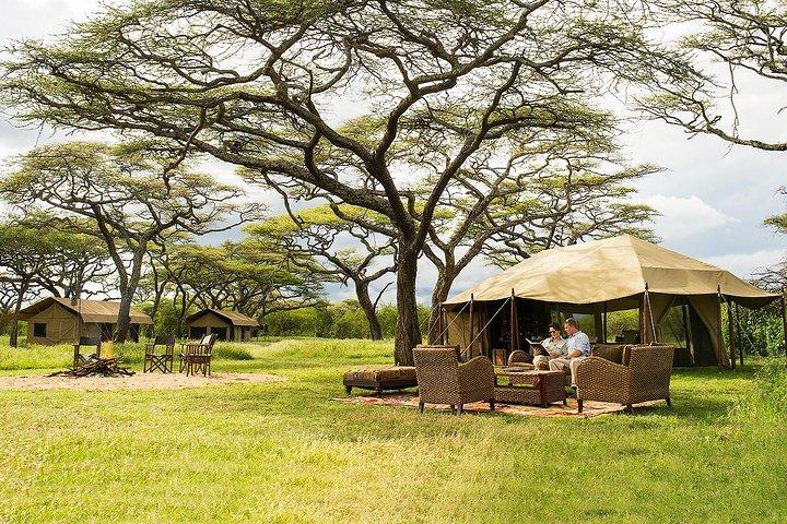 Tanzania 3-Day Private Safari with Full Board