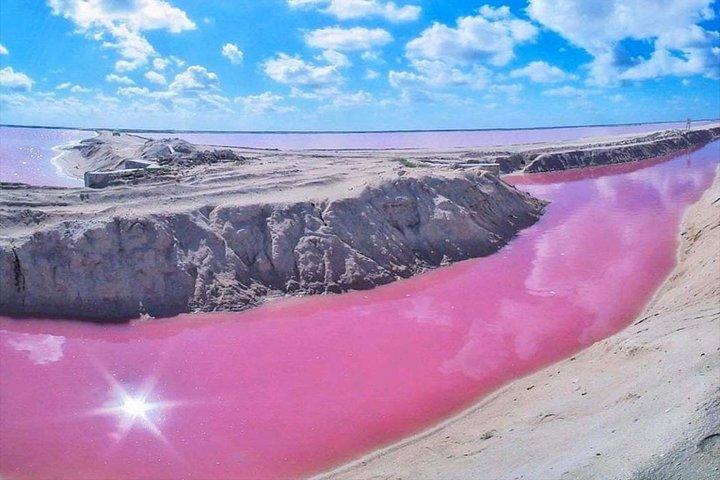 Pink Waters of Las Coloradas, Pink Flamingos and Colonial City of Valladolid,