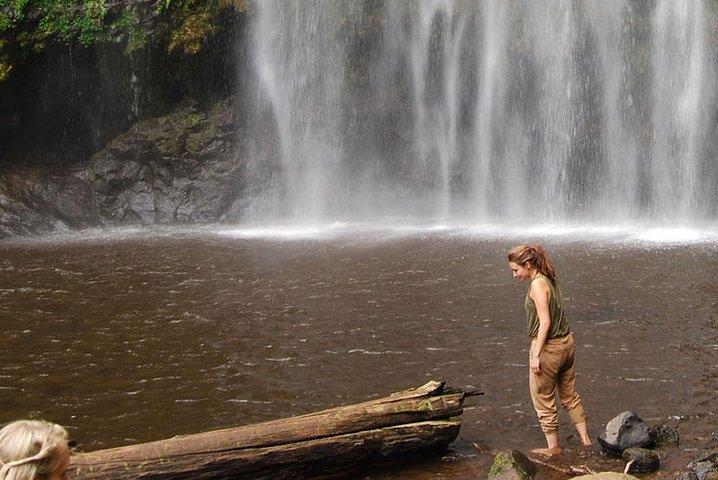 Materuni Waterfalls and Coffee Day Tour