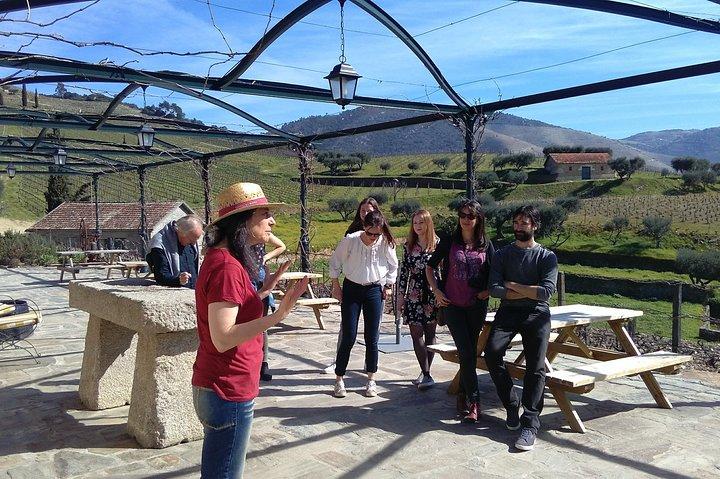 Douro Valley Wine Tour: 3 Vineyard Visits, Wine Tastings, Lunch