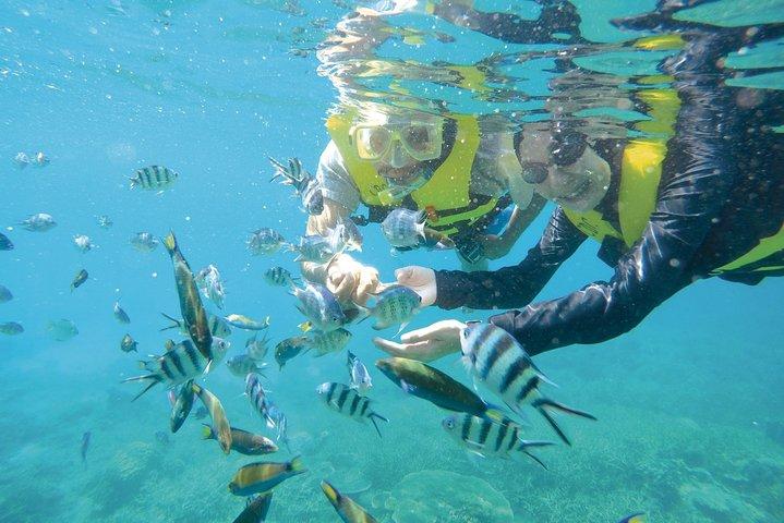 Private Transfer : Kuala Lumpur to Jetty for Redang Island