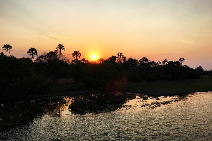 Sunset Cruise Wildlife Watching Experience at Zambezi River