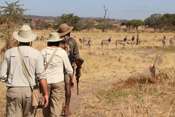 2 Days Lodge safari.