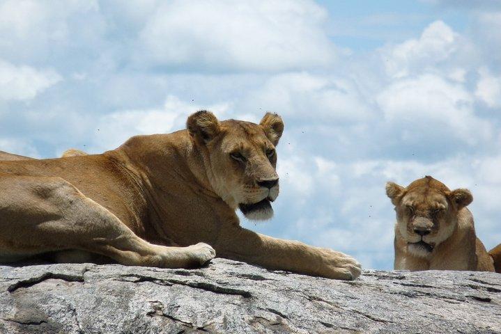 2 Days Lodge safari.