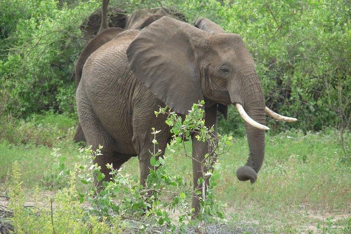 2 Days Lodge safari.