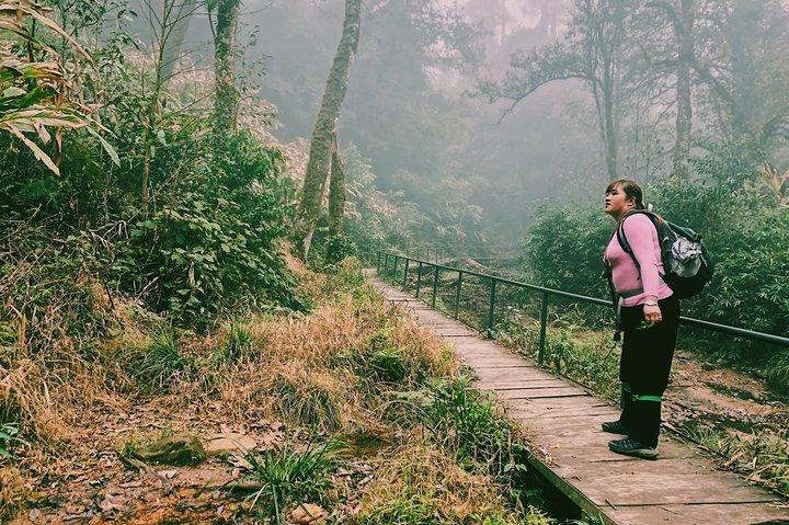 Hiking Fansipan in 1 day