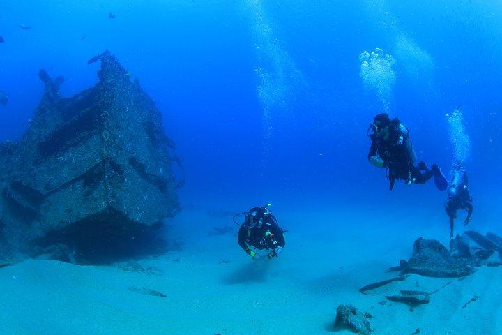 Learn to Scuba Dive in Cabo San Lucas with PADI