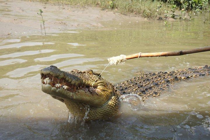 Litchfield and Jumping Crocodiles Full Day Trip from Darwin