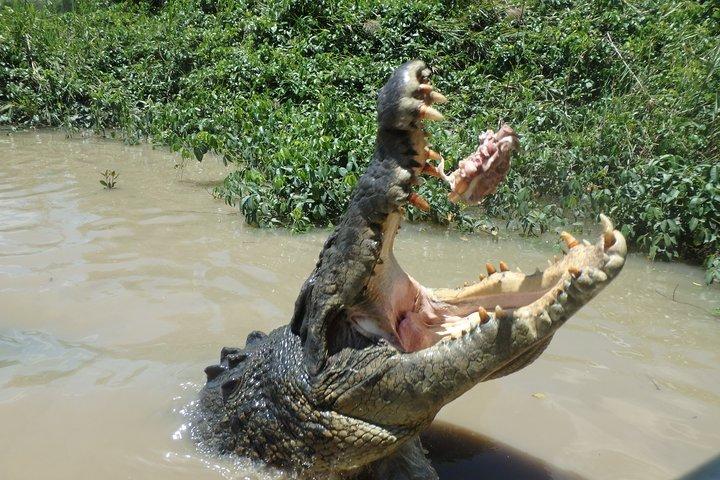 Litchfield and Jumping Crocodiles Full Day Trip from Darwin
