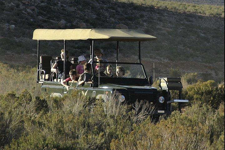BIG5 private Safari near Cape Town