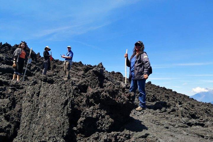 Pacaya Volcano Tour and Hot Springs from Guatemala City
