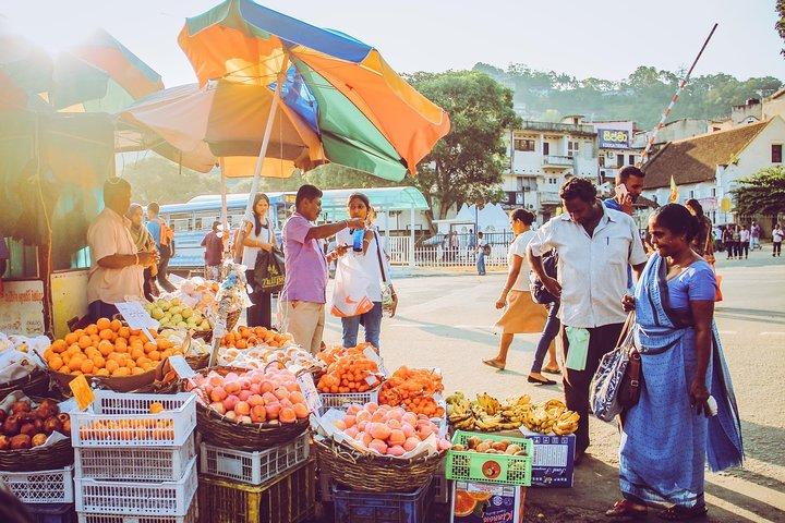 Transport only - 10 Days Private Round Trip in Sri Lanka