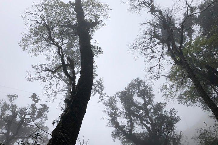 Hiking Fansipan in 1 day