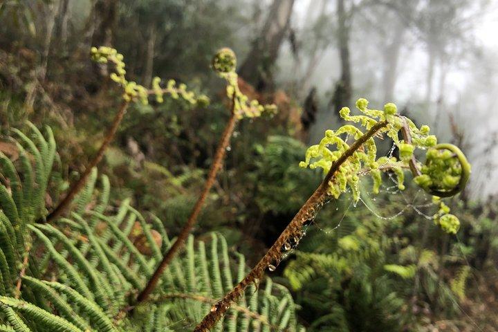 Hiking Fansipan in 1 day