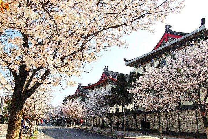 Nanjing Private Flexible Day Tour with Professional Guide and Driver Service