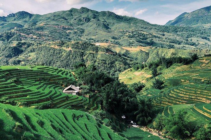 Sapa 2-Day Trek & Homestay in Ta Van Village