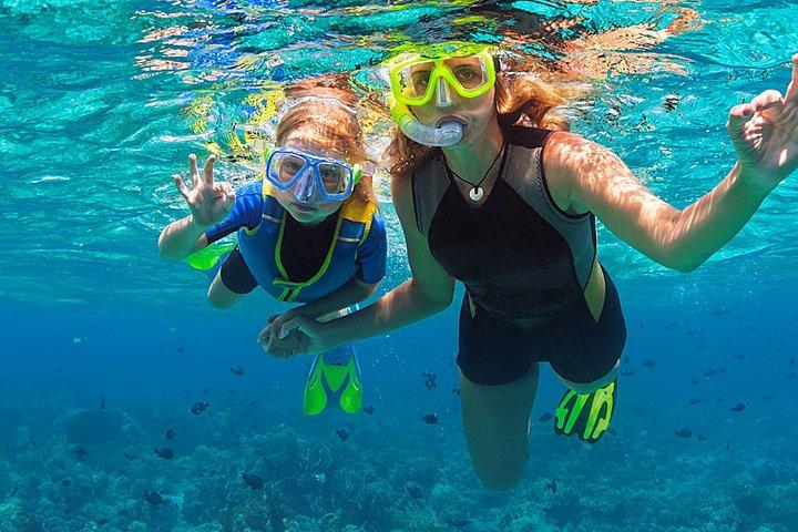 Fajardo, Puerto Rico: Morning Snorkeling Beach Tour