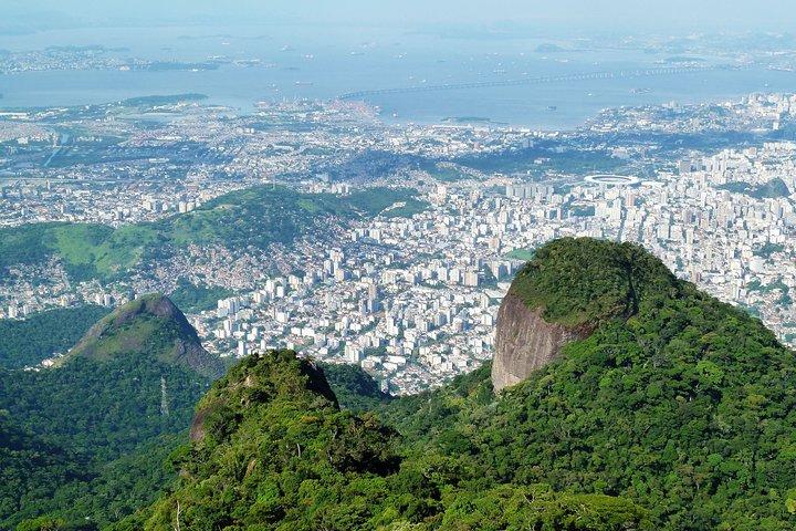Tijuca Rainforest Hiking Tour in Rio de Janeiro