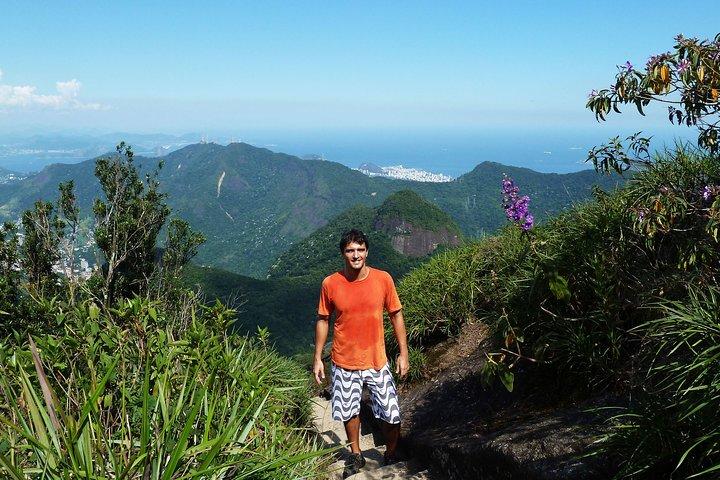 Tijuca Rainforest Hiking Tour in Rio de Janeiro